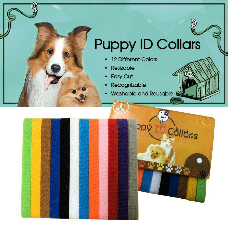 12 Colours Whelping ID Collar Bands Pet Puppy Kitten Identification